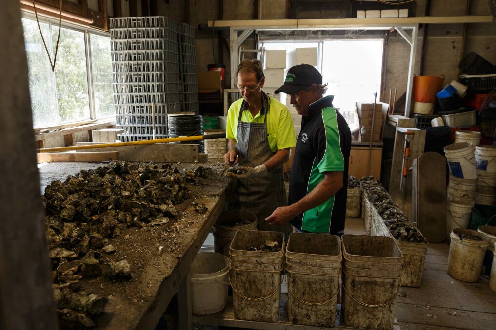 FESTIVALS COMBINE: Karuah oyster farmer Mark Hunter, right, and Gordon Latimore. Picture: Max Mason-Hubers