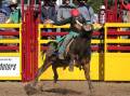Head to Dungog Showground on Saturday for the annual Dungog Rodeo. Picture by Peter Lorimer