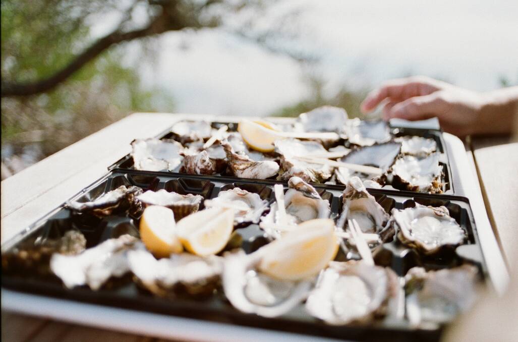 The inaugural Seafood and Cider Festival is on this weekend at Stanley Park, Fullerton Cove, 10am to 4pm, Saturday and Sunday. Picture supplied