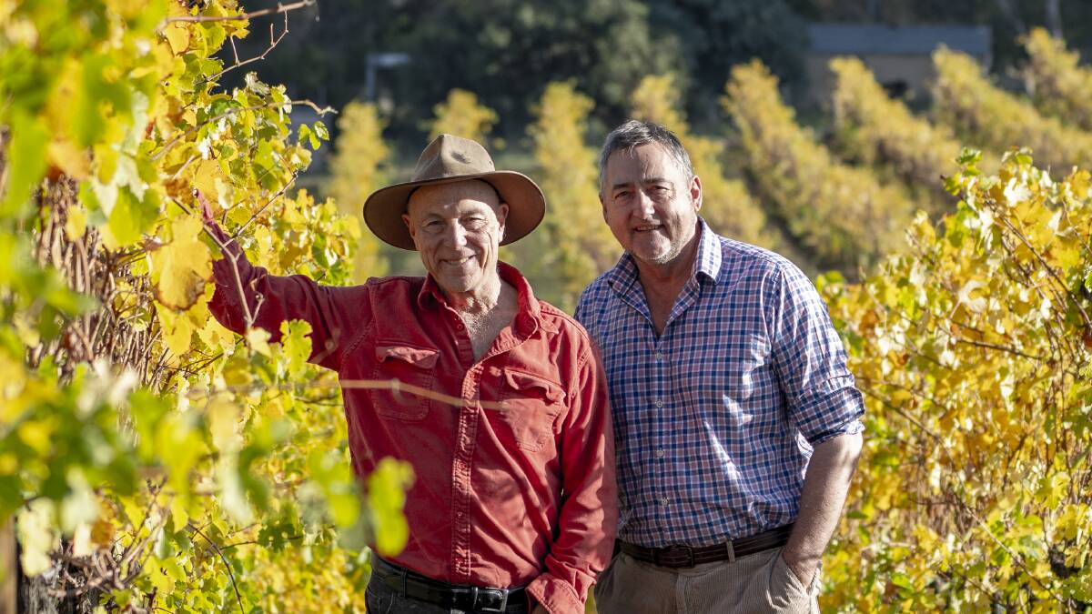 HAVING A GO: Adelaide Hills gruner veltliner pioneers Larry Jacobs (left) and Marc Dobson at their Hahndorf Hill vineyard and winery. The A to Z of wines will continue next week.