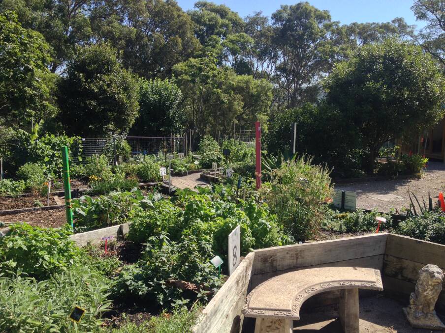 GRAVEL TO GARDEN: Belmont Community Gardens at 359 Pacific Highway, Belmont North. Picture: Supplied