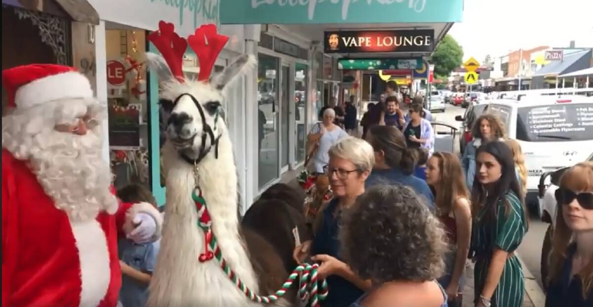 Santa and his llama in Beaumont Street. 