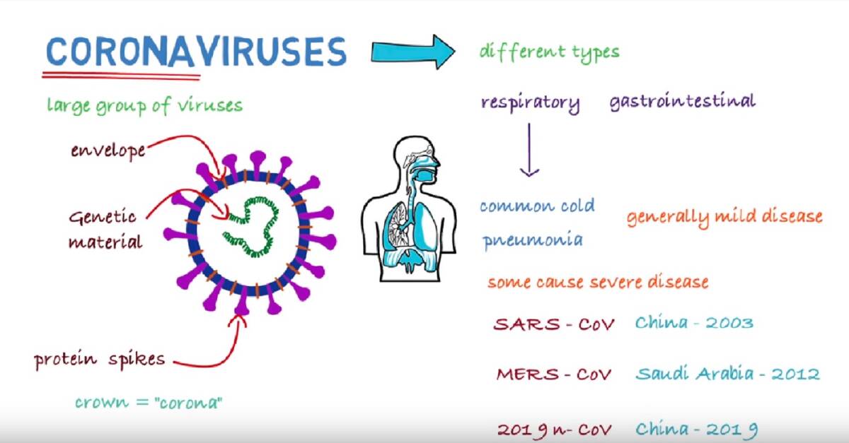 A graphic of the coronavirus. Source: World Health Organisation 