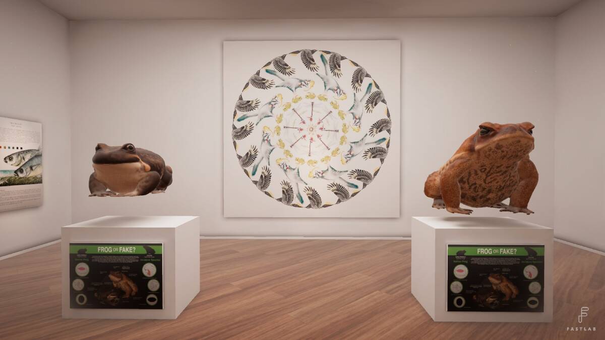 Eco-Art: A screenshot of a virtual gallery that highlights the climate emergency and biodiversity crisis. Rachel Klyve created the mandala, Jemma Gillard created the 3D frog and toad. Picture: Fastlab 