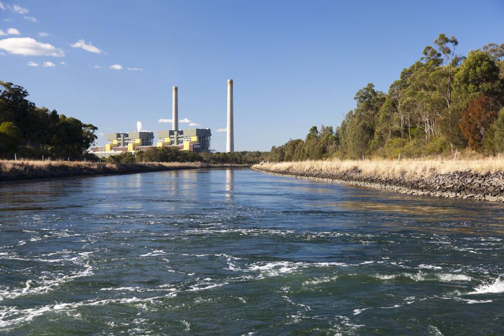 A canal at Eraring Power Station in west Lake Macquarie. Fish are attracted to the hot water that power plants release into the lake. Picture supplied 