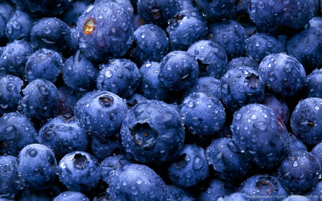 Blueberries are blue, aren't they? 