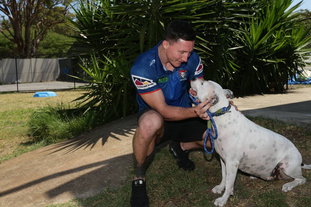 Newcastle Knights player Tyson Gamble with Frazier at the planned animal shelter at Fullerton Cove. Picture by Jonathan Carroll 