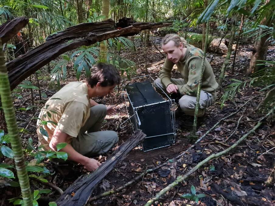 Saving Species: Lachlan McRae and Elliott Dooley setting a trap in the Gibraltar Range. Picture: Alicia Watt 