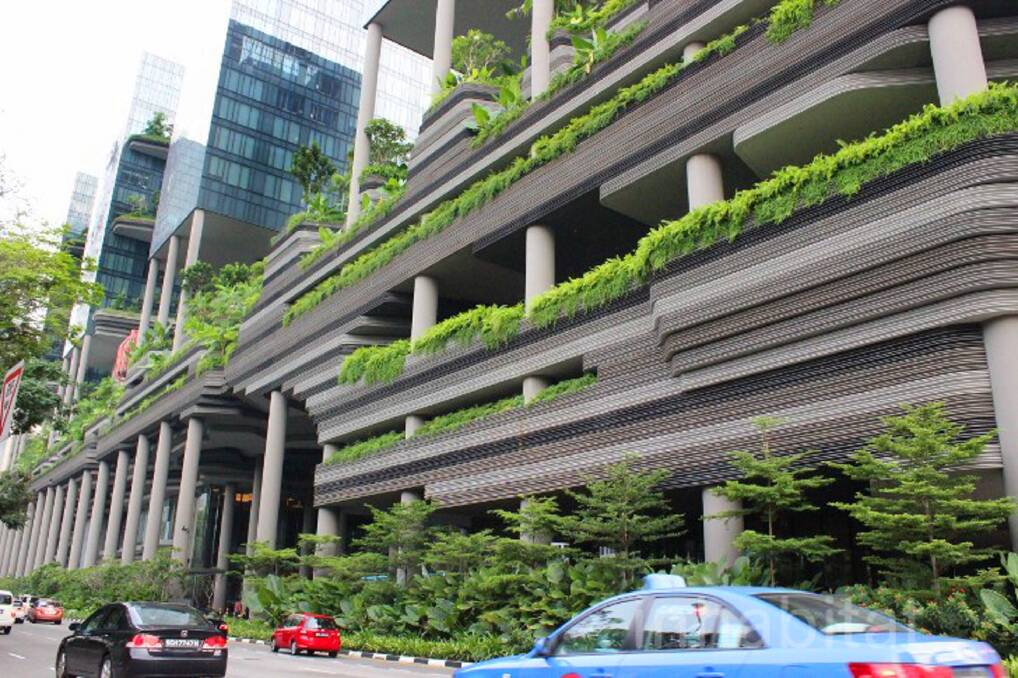 Concrete Jungle: Adding vegetation to cites helps reduce the heat-island effect. 