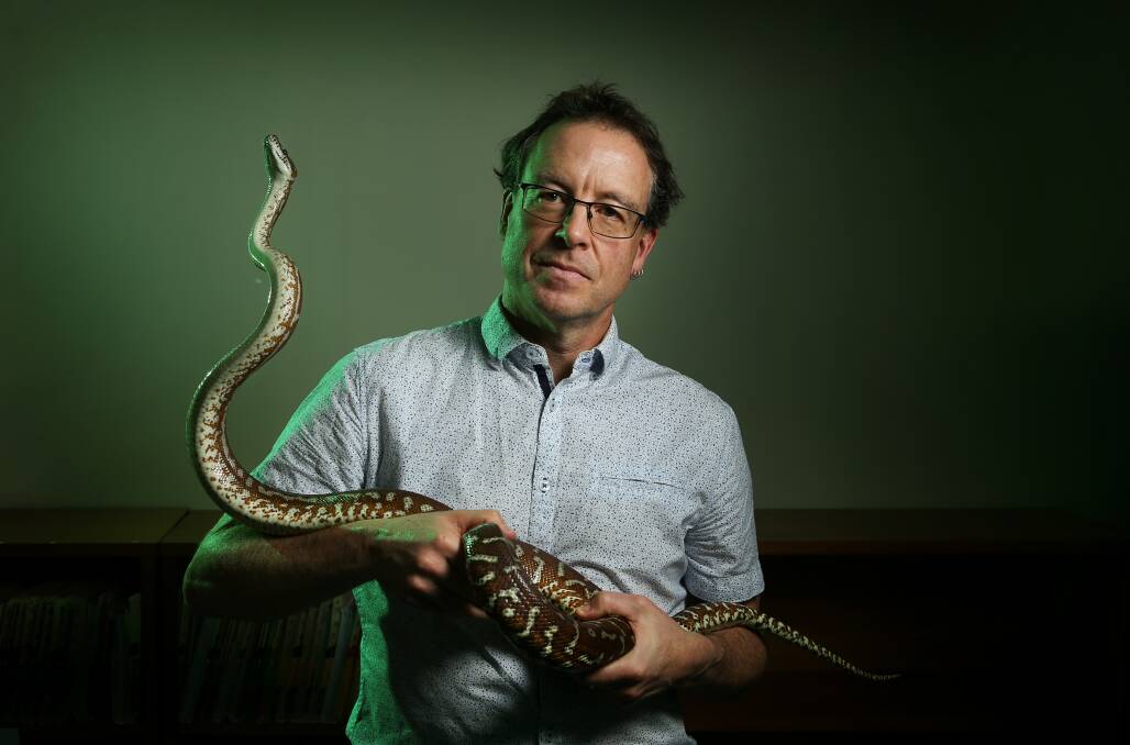 Snakes Alive: Geoff Isbister has been honoured for his toxicology research. His companion is a carpet python. Picture: Marina Neil 