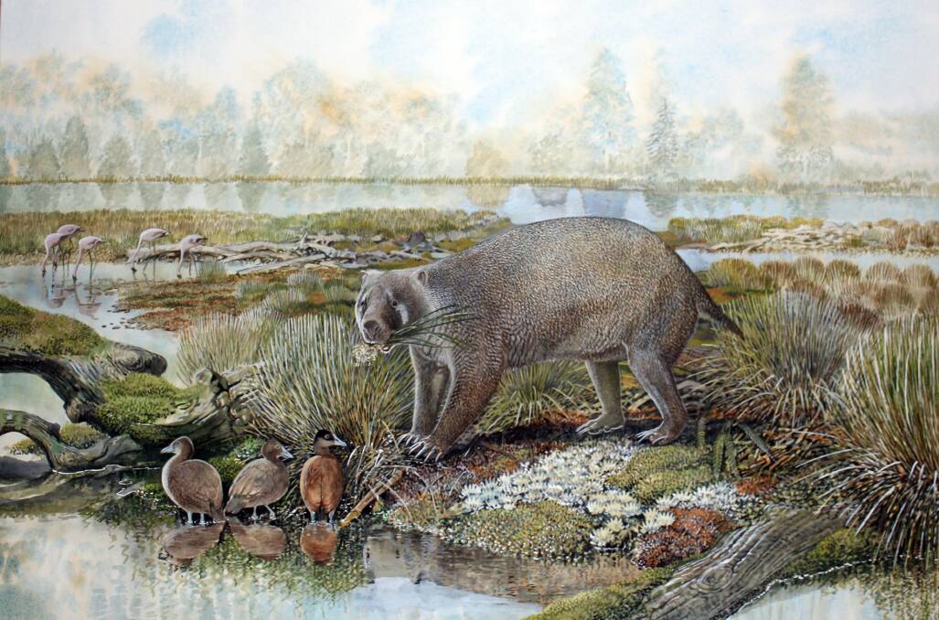 Prehistoric: An artist's impression of Mukupirna, a giant wombat-like creature that called Australia home. Picture: Peter Schouten 