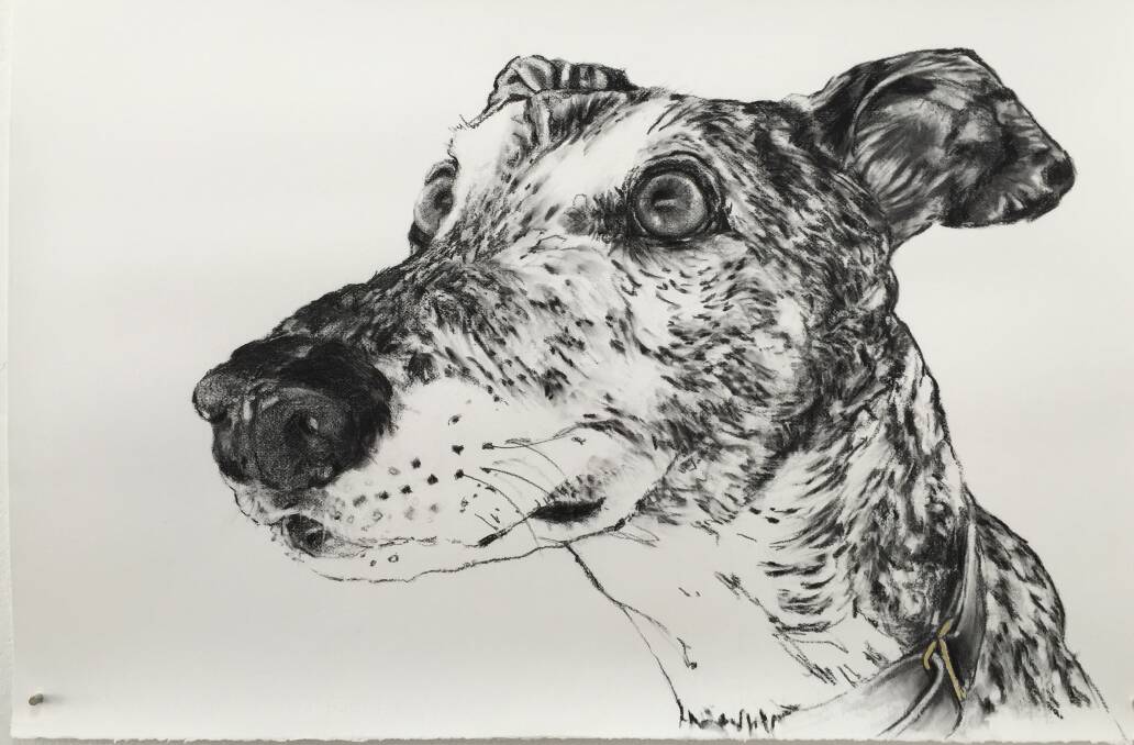 Lucky Dog: The Dogs in ART exhibition includes this Vanessa Lewis work titled "I've got you", which features charcoal and gold leaf on paper.