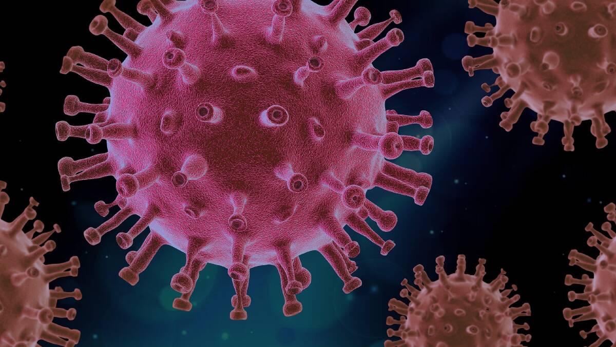 Existing viruses pose post-pandemic risk