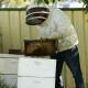 Newcastle beekeeper Neil Livingstone. Picture: Jonathan Carroll 