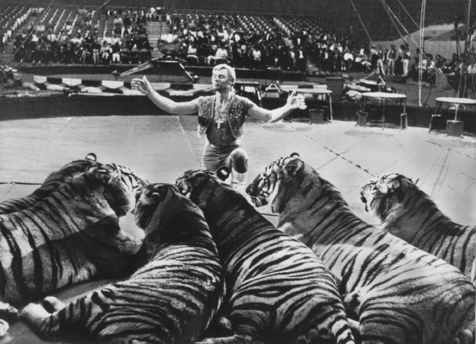 Animal trainer Gunther Gebel-Williams with trained tigers in a circus in 1969. 
