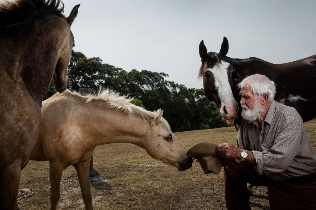 Parched: Bob Skelton with horses on his Minmi property. He reckons it's time for his rain poem to be recited. Picture: Marina Neil 