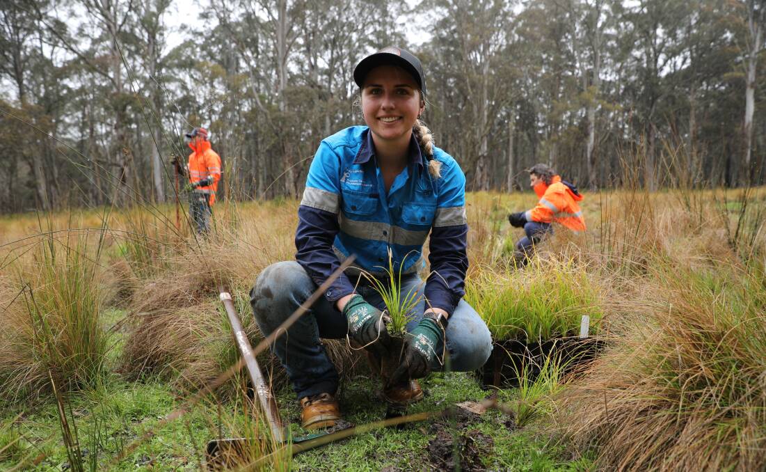 AGL electrical apprentice Kristin Cox helped with the planting. 