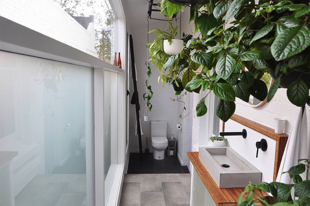 See The Light: A light, airy and green bathroom in Avery Green. Picture: Lucas Allen 