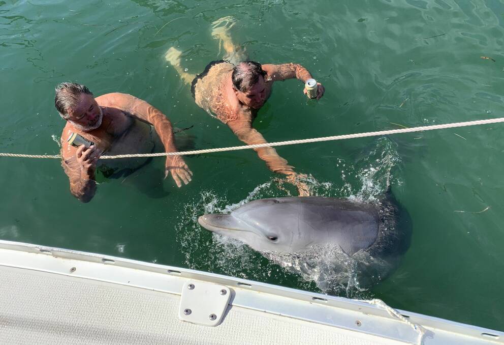 Marine Mates: Mark Holmes and Dave Nichols swimming with a dolphin at Lake Macquarie Yacht Club. 