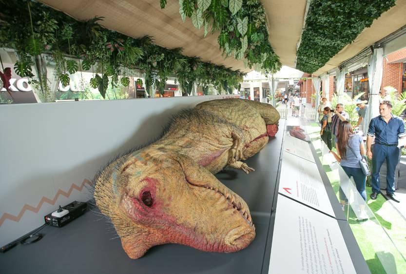 Sleeping Giant: This life-size model of a T-rex will be on display at Glendale.  
