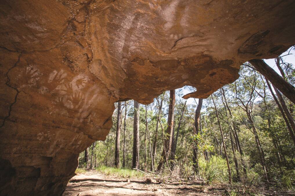 New Find: The 'Cave of Many Hands' in white ochre with stencils of weapons and objects was recorded for the first time in Wollemi National Park. 