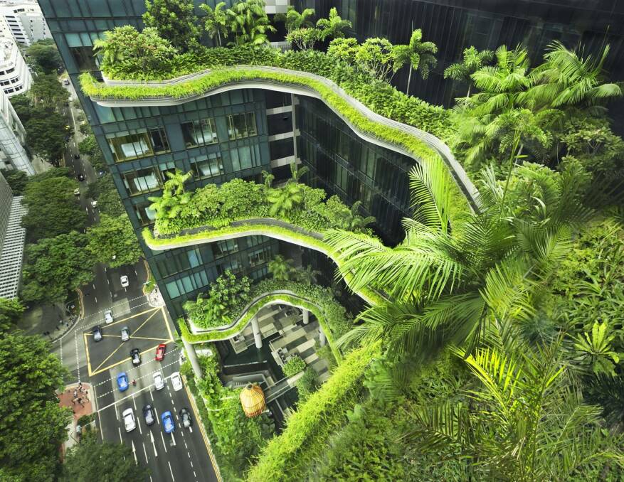Green As Grass: Vertical gardens at the Parkroyal Collection Hotel in Singapore show how a 'green city' looks. 
