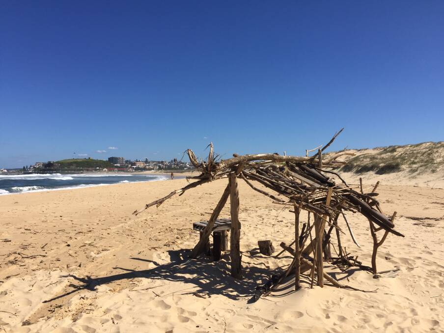 Beach Life: A hut built from driftwood spotted at Nobbys on Monday. Picture: Ian Kirkwood 
