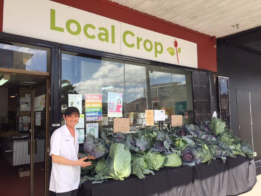 Stanley at Local Crop displaying the cabbages in question.  