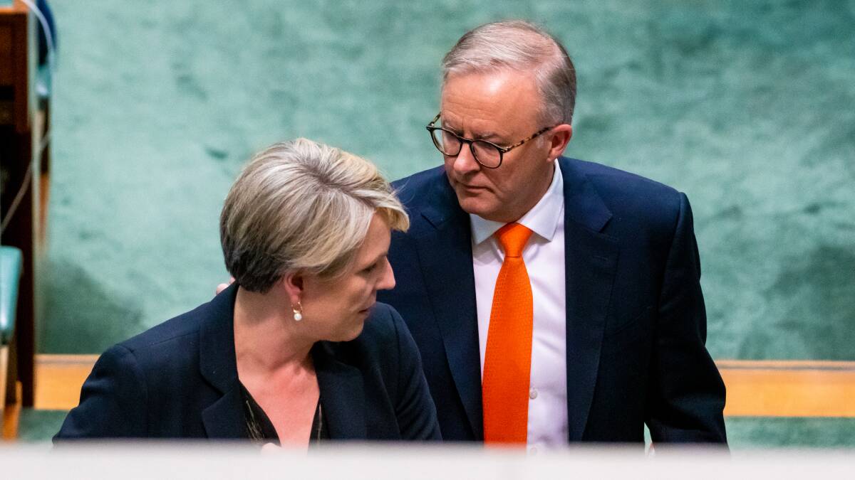Prime Minister Anthony Albanese and Environment Minister Tanya Plibersek in federal parliament late last month. Picture by Elesa Kurtz