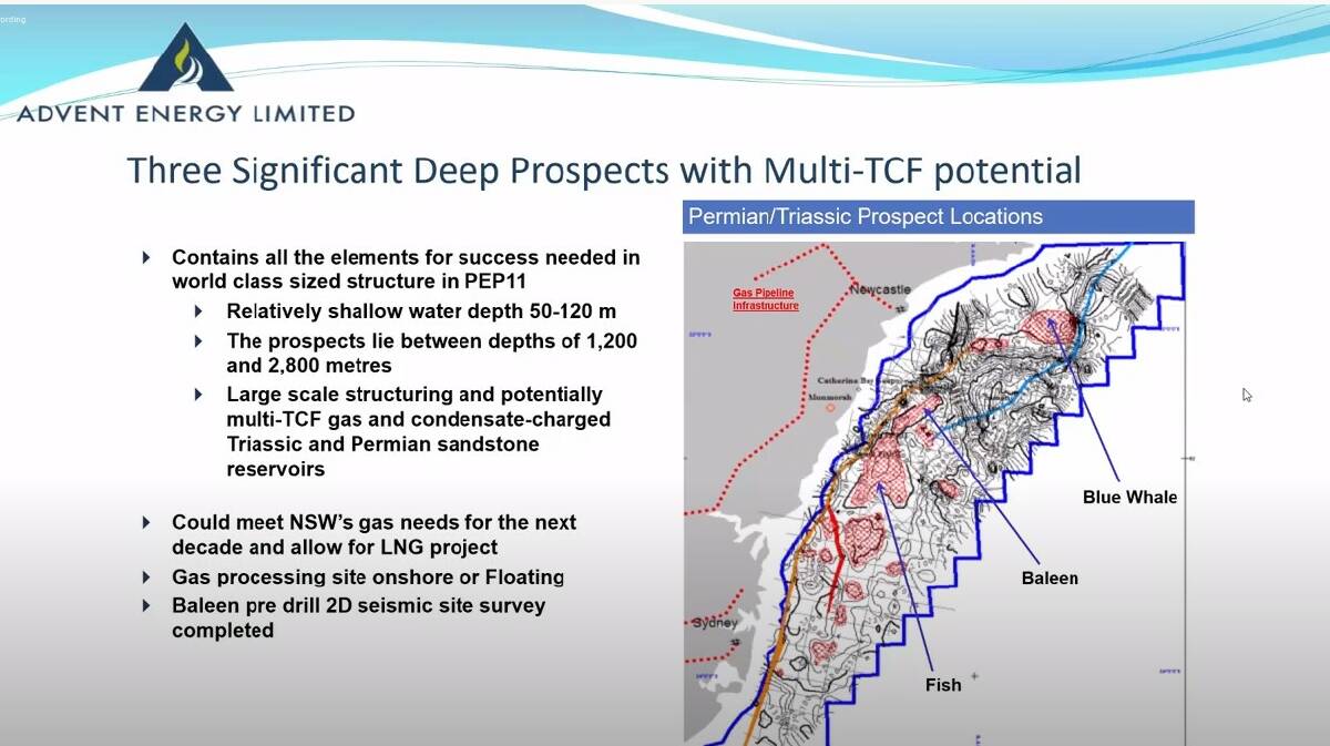 LOCATION: A screen grab from the presentation above showing the location of Baleen, Fish and a third prospect, Blue Whale.