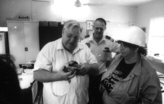 SES controller Don Geddes with an injured kookaburra