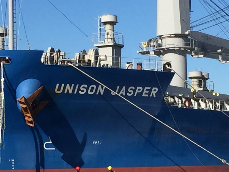 SHIPPING TARGET: The Unison Jasper at Mayfield 4 berth yesterday afternoon. Picture: Ian Kirkwood