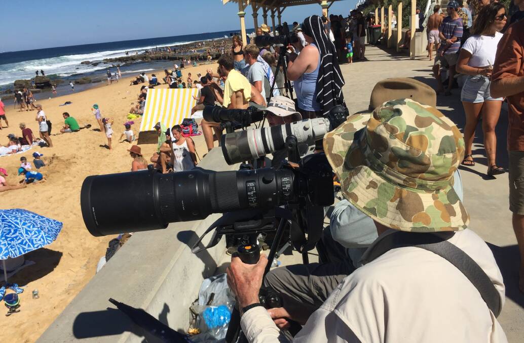 It was camera city at Merewether, with amateurs and professionals alike propping their big telephoto lenses wherever they could.