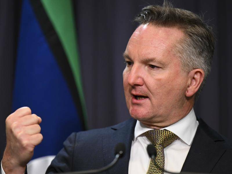 NEW POWERS: Federal Climate Change and Energy Minister Chris Bowen after yesterday's meeting in Canberra, telling reporters of the continued need for intervention in gas and electricity markets. Picture: Lucas Coch AAP
