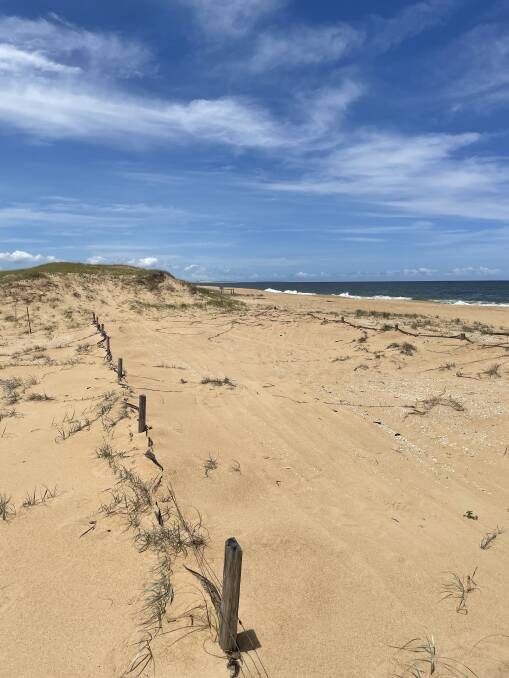 DISAPPEARING ACT: This fence and others nearby at Fern Bay are not that old. Yet as this picture shows, they are disappearing beneath the dunes. December 2021. Picture: Ian Kirkwood