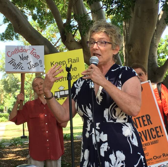 Newcastle Greens councillor Therese Doyle at the Civic Park protest on Monday outside the Property Council of Australia lunch.