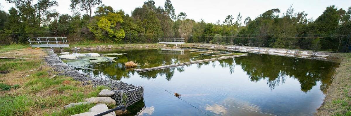 SYDNEY-STYLE: Remediation pond at Wilson Park in the Homebush Bay area. Picture: Sydney Olympic Park Authority
