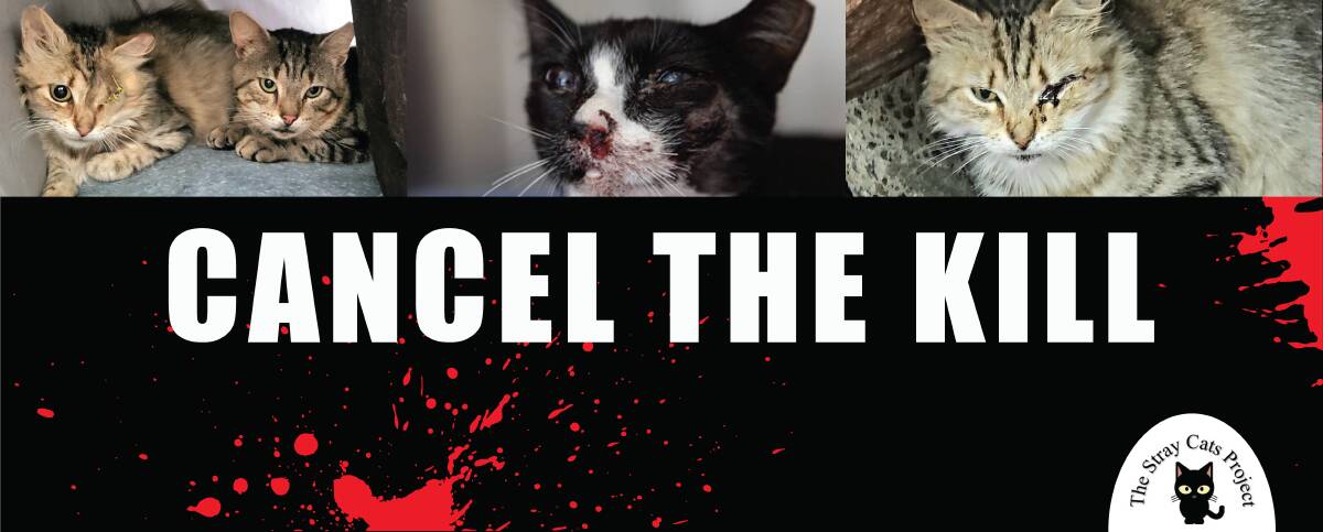 BLUNT MESSAGE: One of various online images produced by The Stray Cats Project and others who believe the Stockton breakwall cats should be left in peace.
