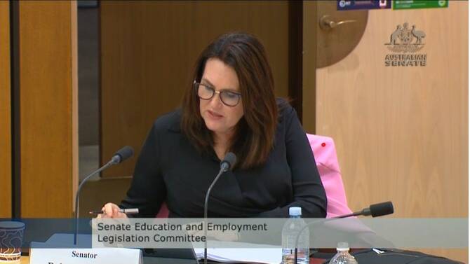 CALLING TO ACCOUNT: Labor Senator Deborah O'Neill, who has questioned Coal LSL at recent committee hearings, and whose questions also probed the fund's treatment of casually employed mineworkers.