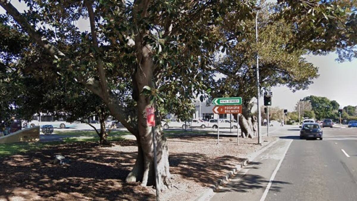A planned slip lane from Stewart Avenue into King Street would remove these figs.