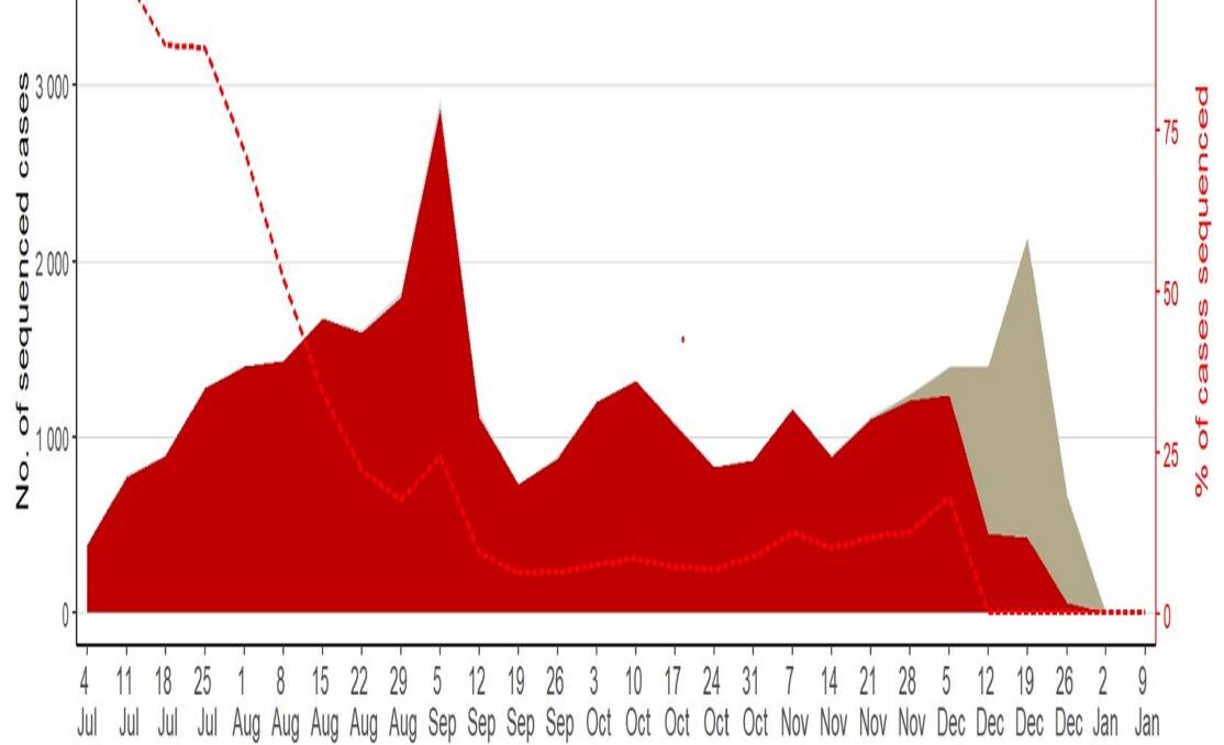 NSW Health graph showing omicron in brown rapidly crowding outpacing delta in genotype sequencing. The dotted red line is the percentage of overall tests to undergo sequencing, which diminishes as the numbers of cases increase.
