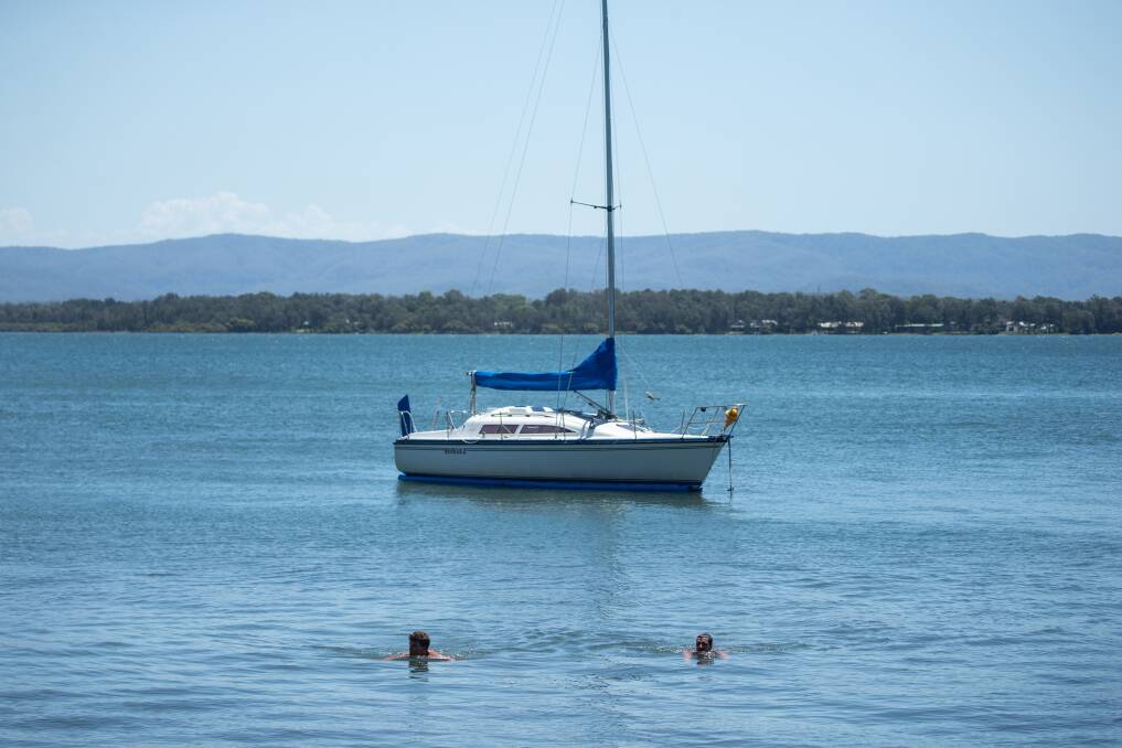 Men swimming in Lake Macquarie at Yarrawonga Park where a man was attacked by a shark on Saturday evening.