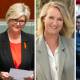 Independents Zali Steggall and Helen Haines have been returned, and are set to be joined by Kylea Tink and Zoe Daniel. 