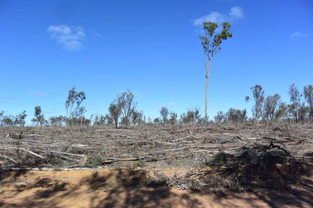 In court: A Mungindi farmer claimed laws regulating the clearing of native vegetation were invalid. Photo: File