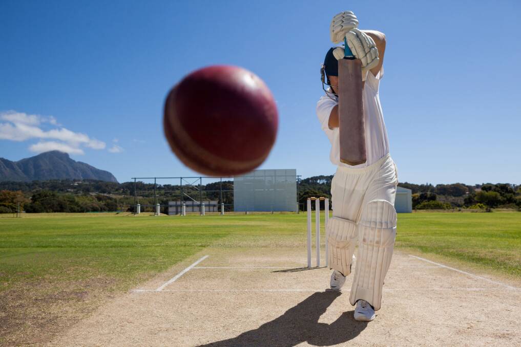  Manning T1 cricket competition is in recess until mid-January. Picture Shutterstock.