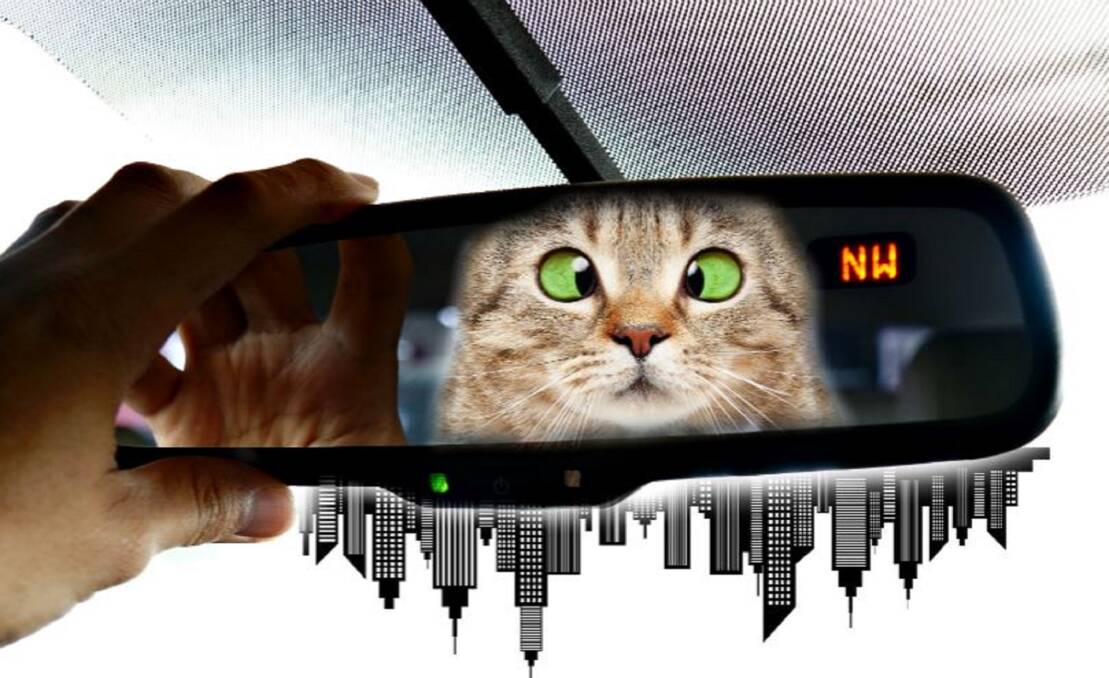 Upside down in the rear view mirror