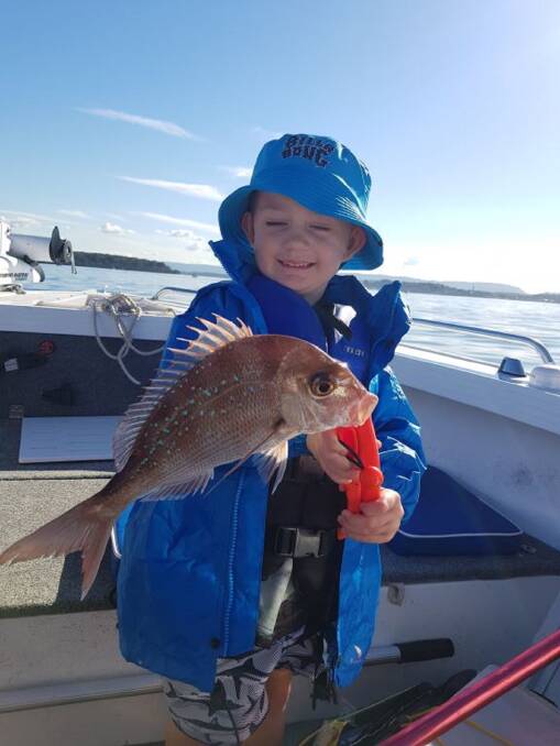FISH OF WEEK: Three-year-old Knox Evans wins the Jarvis Walker tacklebox and Tsunami lure pack for this 35cm squire hooked with his nan in Lake Macquarie.