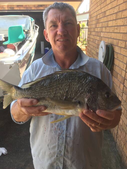 FISH OF THE WEEK: Craig Murnain wins the $45 prize from Tackle Power Sandgate for this stonking bream hooked in the Hunter River last Sunday.