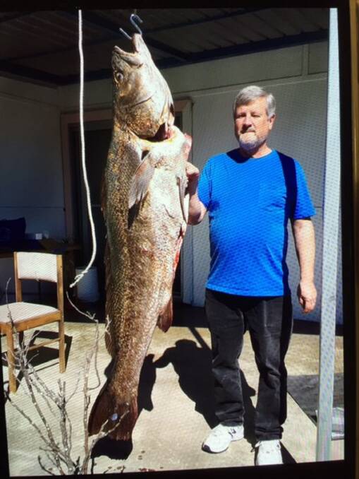 FISH OF THE WEEK: David Sykes wins the prize for this massive 155cm, 32.1kg mulloway hooked in Lake Macquarie early Thursday morning.