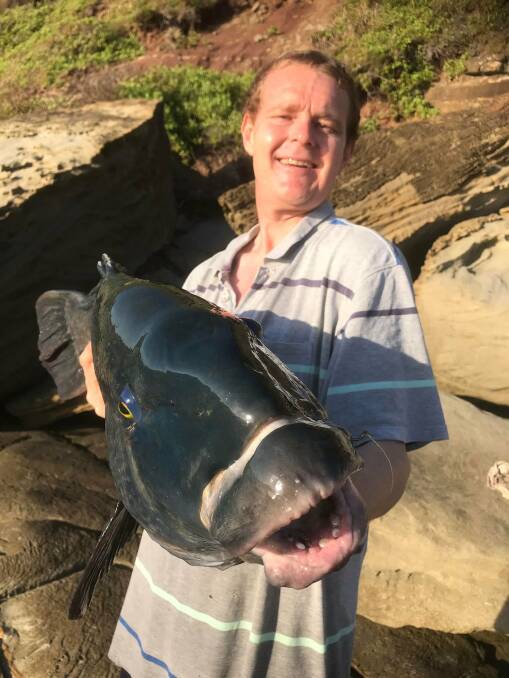 FISH OF THE WEEK: Geoff Bruce wins $45 courtesy of Sandgate Tackle Power for this 8.4kg blue groper hooked using a crab off a local rock platform recently.